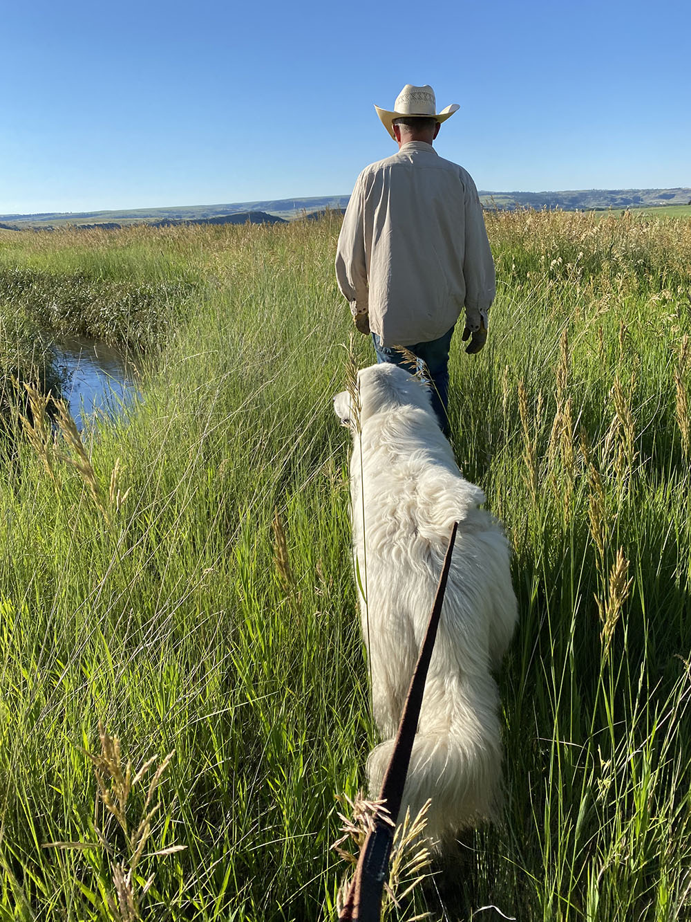 Walking with Tate at Oniya