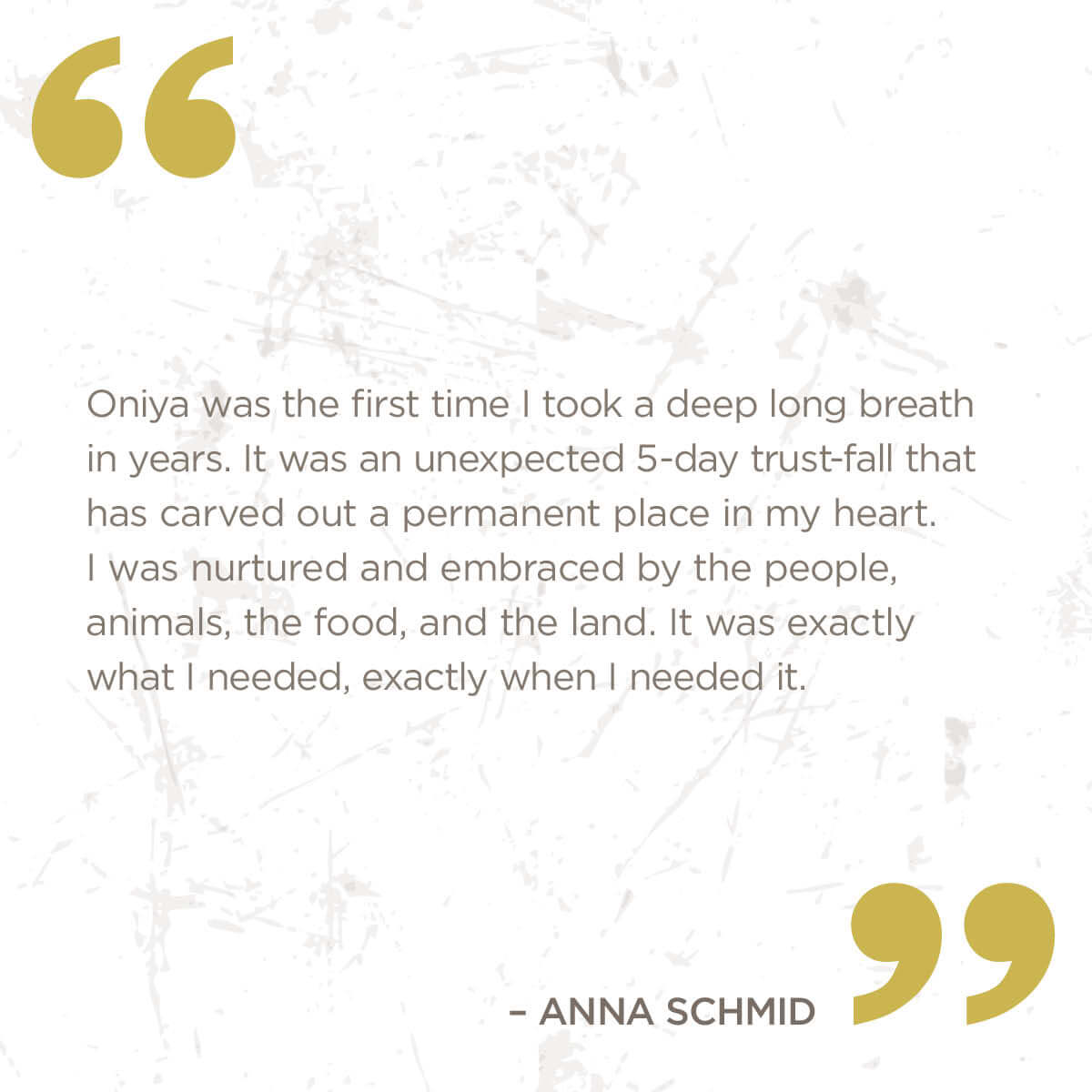 Oniya was the first time I took a deep long breath in years. It was an unexpected 5-day trust-fall that has carved out a permanent place in my heart. I was nurtured and embraced by the people, animals, the food, and the land. It was exactly what I needed.