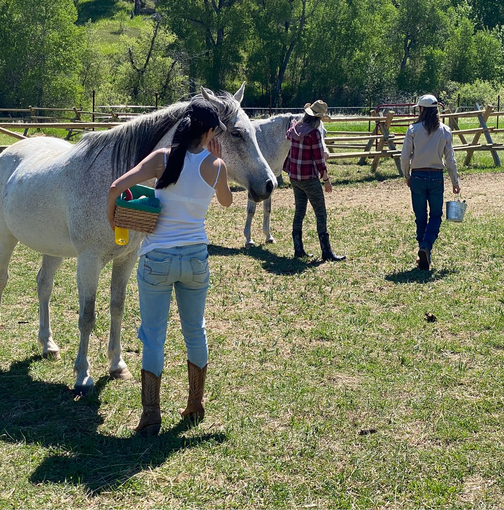 Oniya guests in the horse corral, grooming horses