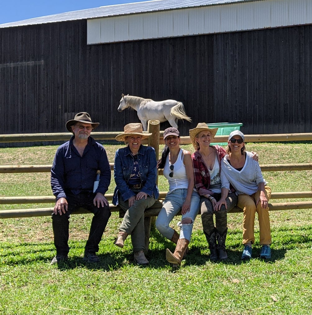 Oniya guest bonding with a horse during their Equine Assisted Learning session