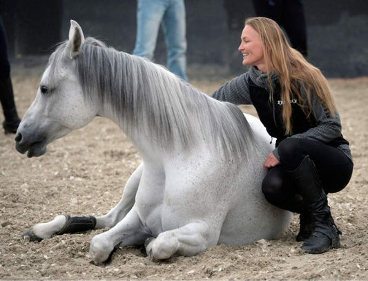 Liberty Clinic - Observer 1-Day