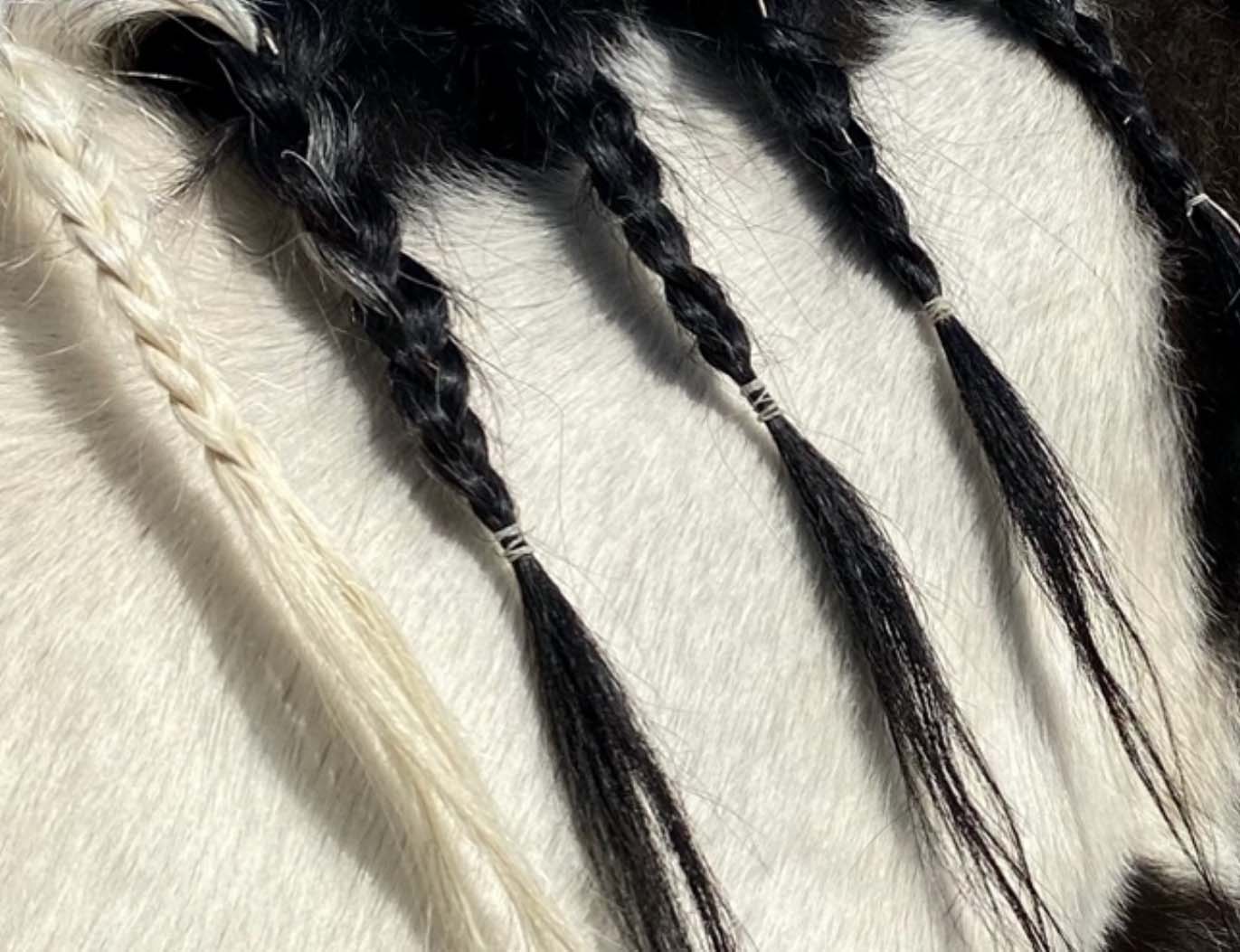Cree's black and white braided mane